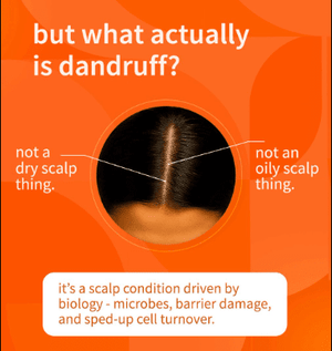 Sebamed - Anti - Dandruff Shampoo for Oily Hair - Zambeel