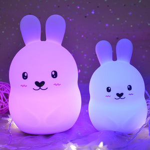 Silica Gel Nightlight - Zambeel