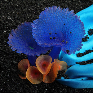 Simulation of Coral Plants - Zambeel