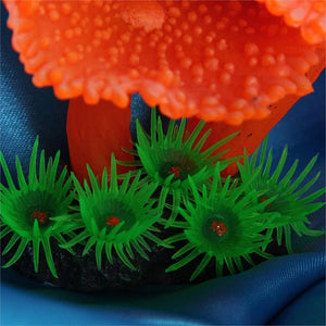 Simulation of Coral Plants - Zambeel