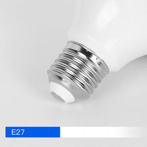 Single Lamp Soft Boxes Studio Fill Lights - Zambeel