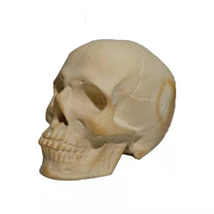 Skull Halloween Barbecue Fire Ornament Design Decoration - Zambeel