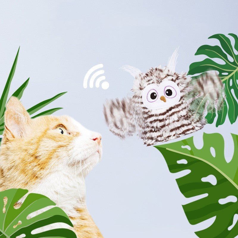 Smart Cat Toys For Self Entertainment - Zambeel