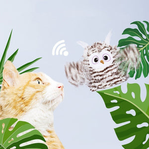Smart Cat Toys For Self Entertainment - Zambeel