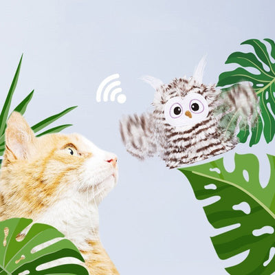 Smart Cat Toys For Self Entertainment - Zambeel