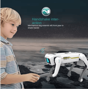 Smart Dog Multifunctional Toy © - Zambeel