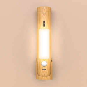 Smart Home Charging Induction Lamp Multi - function Torch Induction Lamp - Zambeel
