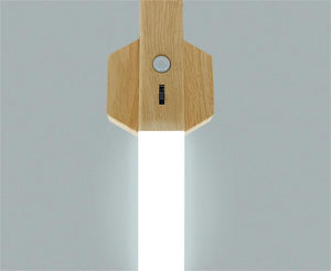 Smart Home Wooden Small Night Lamp Lamp LED Induction - Zambeel