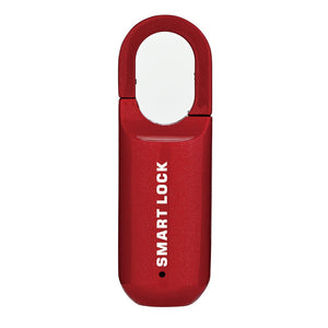 Smart USB Rechargeable Fingerprint Code Lock Easy To Carry Backpack Fingerprint Lock For Gym School Locker House Door Travel Luggage Backpack - Zambeel