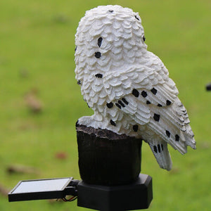 Solar Power LED Owl Parrot Lawn Light Outdoor Waterproof Garden Landscape Lamp - Zambeel