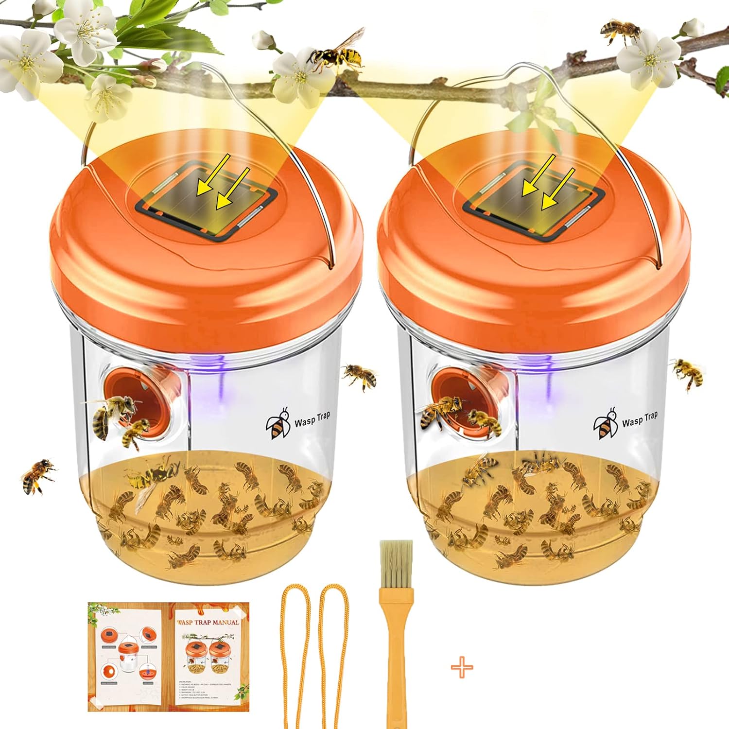Solar - Powered Wasp Trap - Zambeel