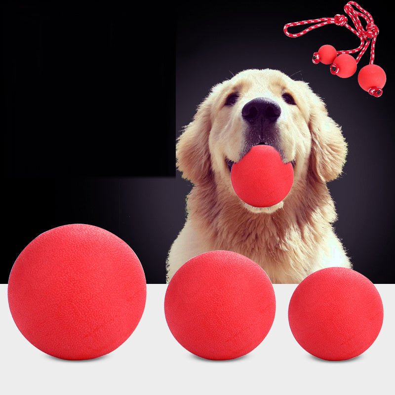 Solid Rubber Bouncy Ball Toy - Zambeel