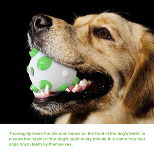 Spherical Dog Toy Molar Rod - Zambeel