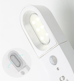 Sports Lighting Wall Light - Zambeel