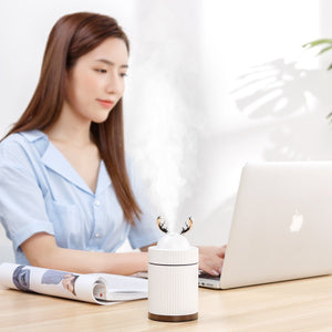 Sprayer Moisturizing Purifier Humidifier - Zambeel