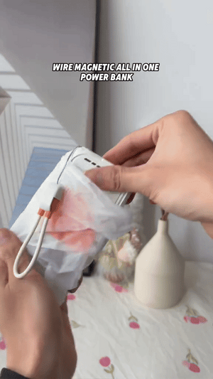 بنك الطاقة متعدد الوظائف