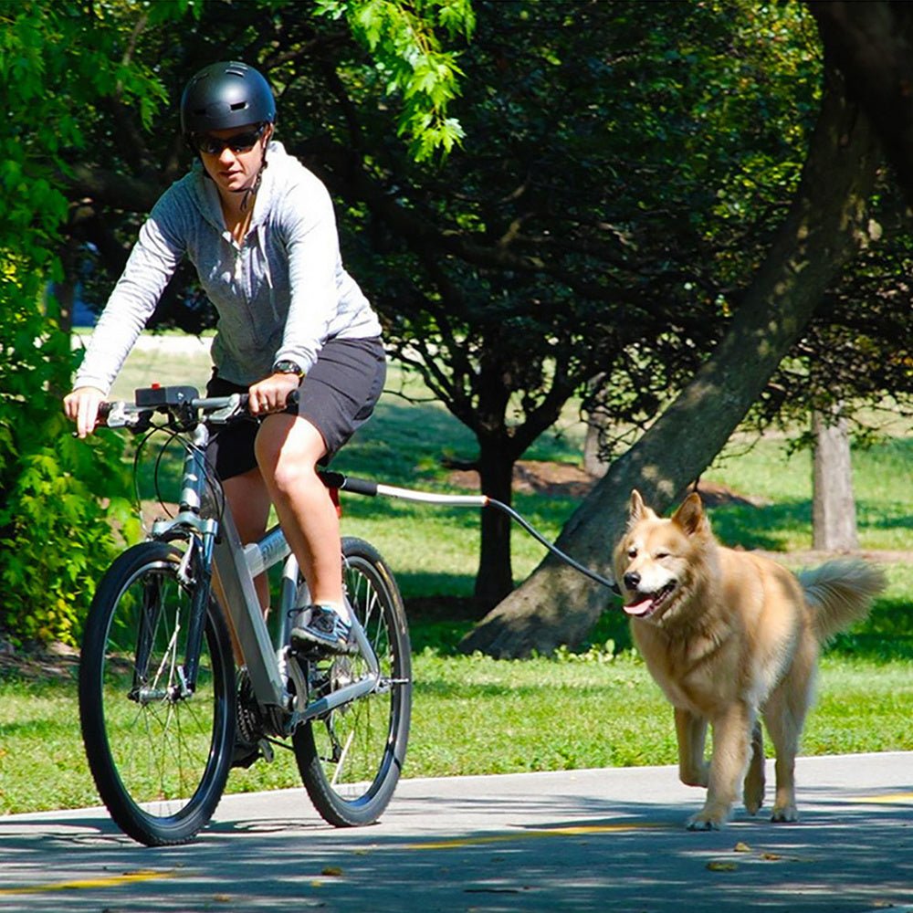 Stainless Steel Bike Leash for Pet Dogs - Zambeel