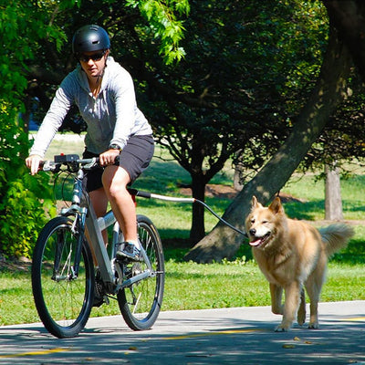 Stainless Steel Bike Leash for Pet Dogs - Zambeel
