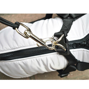 Stainless Steel Bike Leash for Pet Dogs - Zambeel