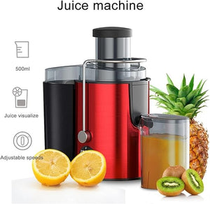 Stainless Steel Portable Fruit Juicers © - Zambeel