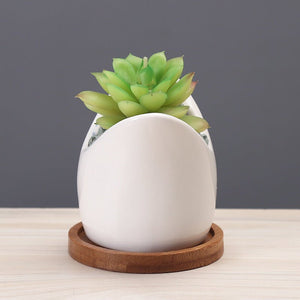 Succulent Pot Creative Cartoon Ceramic Flower Pots European - style Simple Indoor Desktop Pots For Plants Office Decor Planters - Zambeel
