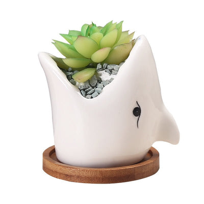 Succulent Pot Creative Cartoon Ceramic Flower Pots European - style Simple Indoor Desktop Pots For Plants Office Decor Planters - Zambeel