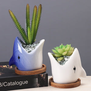 Succulent Pot Creative Cartoon Ceramic Flower Pots European - style Simple Indoor Desktop Pots For Plants Office Decor Planters - Zambeel