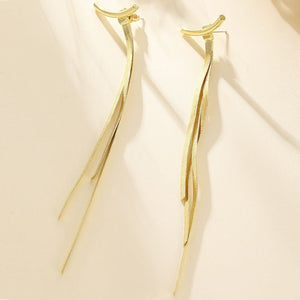 Tassel Earrings With Female Instagram Style Minimalist Design, Long Snake Bone Chain Earrings, Internet Famous Earrings - Zambeel