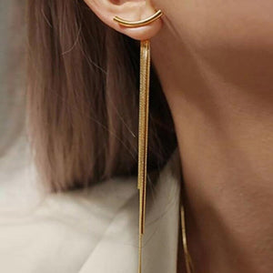 Tassel Earrings With Female Instagram Style Minimalist Design, Long Snake Bone Chain Earrings, Internet Famous Earrings - Zambeel