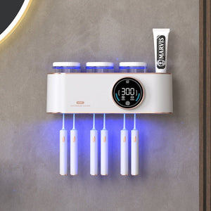 Toilet Electric Toothbrush Drying Rack - Zambeel