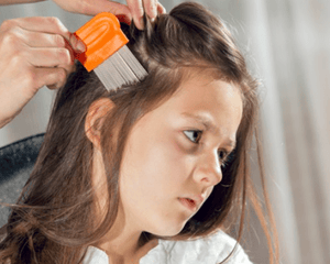 Touch Me - Anti Lice Shampoo (Original) - Zambeel