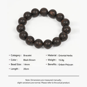 Traditional Chinese Medicine Jewelry Bead Bracelet - Zambeel