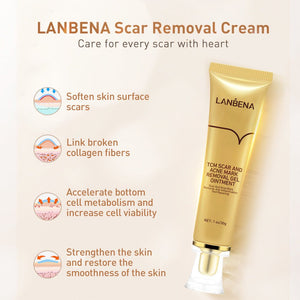 Traditional Chinese Medicine Scar Removal Cream Care Cream Skin Care Products - Zambeel
