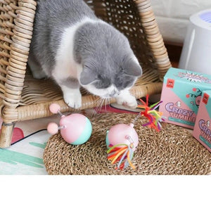 Tumbler Pet Toy - Zambeel