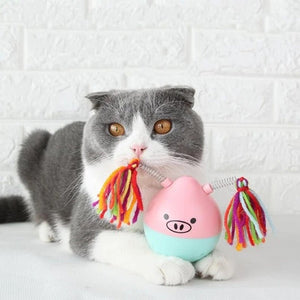 Tumbler Pet Toy - Zambeel
