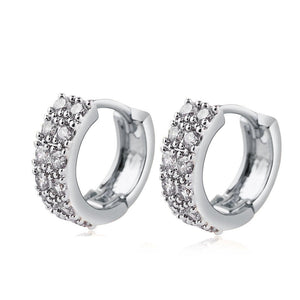 Two - color Plating Fine Zircon - embedded Earrings Women - Zambeel