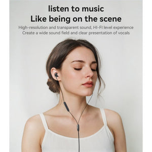 Type - C Aluminum Alloy Earphone - Zambeel