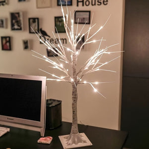 USB Birch Light - Zambeel