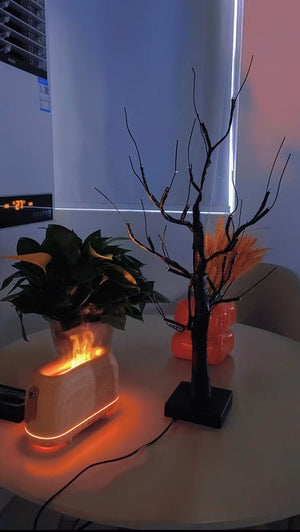 USB Birch Light - Zambeel