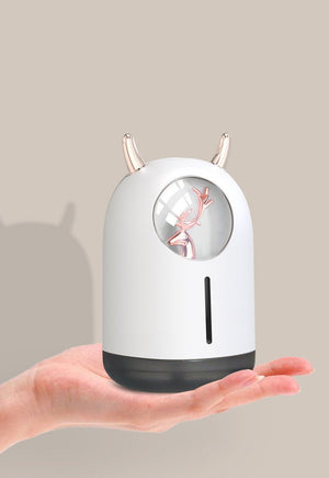 USB Home Office Car Aroma Diffuser Humidifier - Zambeel