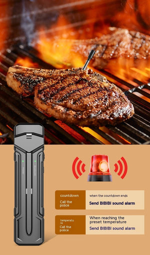Wireless Kitchen Oven Thermometer - Zambeel