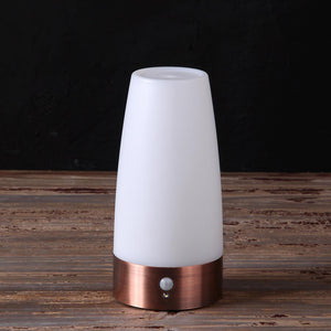 Wireless Outdoor Sensor Light - Zambeel