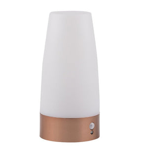 Wireless Outdoor Sensor Light - Zambeel