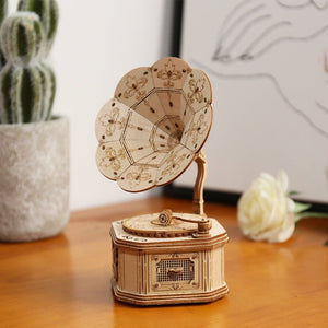 Wooden 3D Puzzle - Zambeel