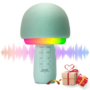 Wster - Wireless Microphone Speaker - Zambeel